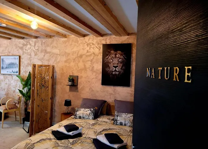 Bed & Breakfast Ambition Bien Etre Adulte Only 3*