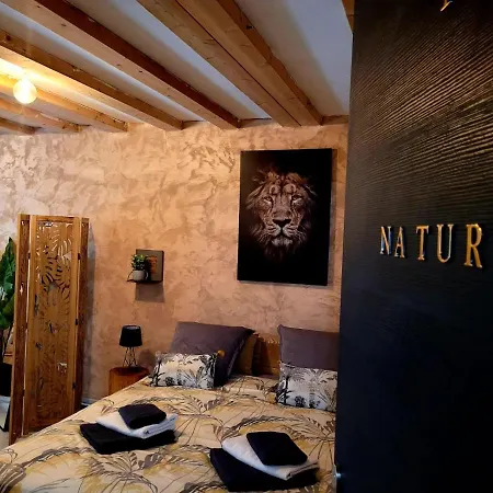 Frühstückspension Ambition Bien Etre Adulte Only 3*